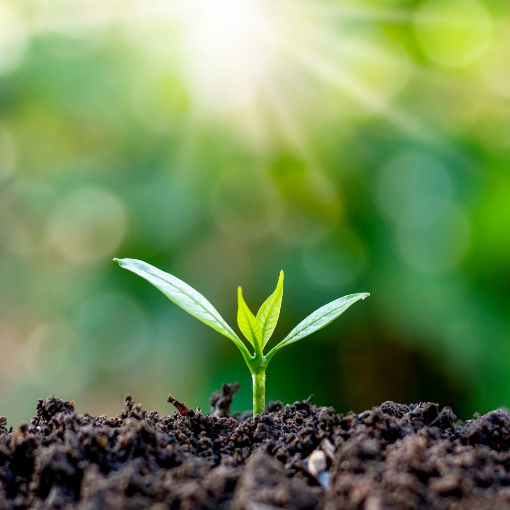 monopotassium phosphate raw chemical material