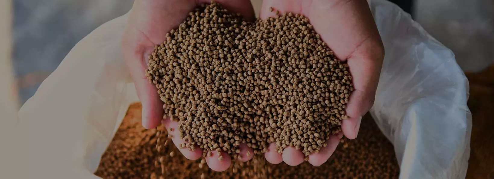 surowce pasze dystrybutor surowce chemiczne